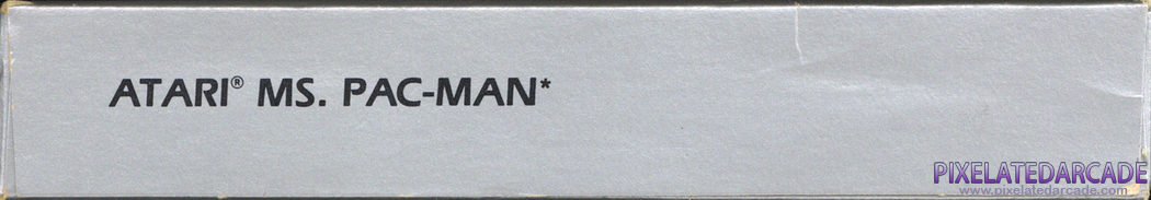 Bottom Spine