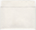 Disk Sleeve