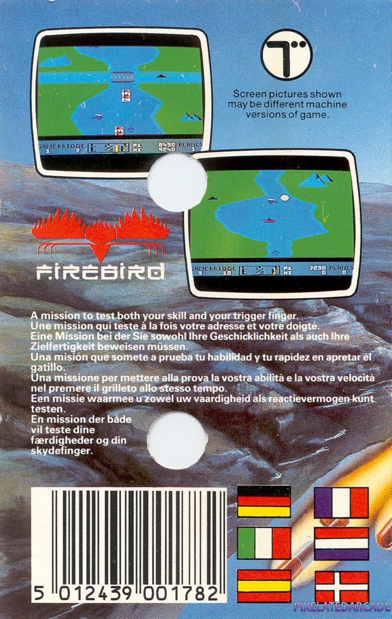 River Raid Cover Art: 