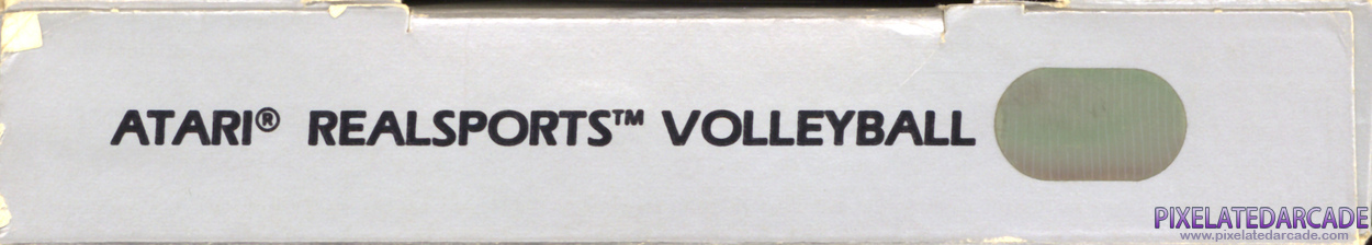 RealSports Volleyball Cover Art: Top Spine RealSports Volleyball Cover Art: Top Spine