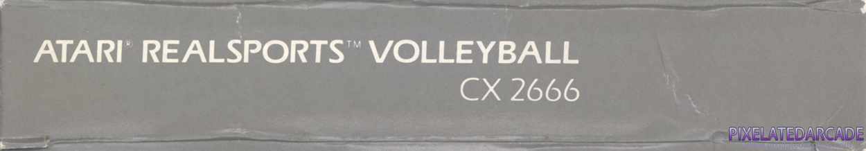 RealSports Volleyball Cover Art: Bottom Spine RealSports Volleyball Cover Art: Bottom Spine
