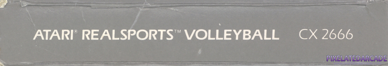 RealSports Volleyball Cover Art: Top Spine RealSports Volleyball Cover Art: Top Spine