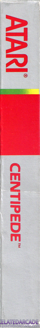 Right Spine