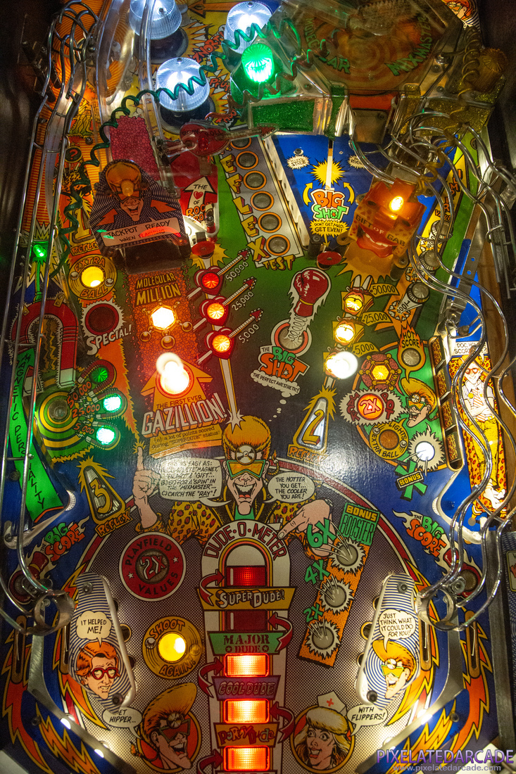 Dr. Dude and His Excellent Ray Photo: Dr. Dude and His Excellent Ray - Playfield