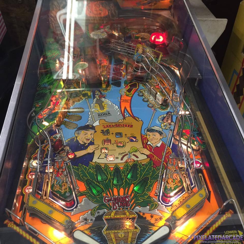 Gilligan's Island Photo: Playfield