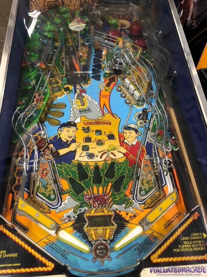 Gilligan's Island Photo: Playfield