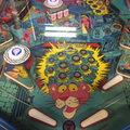 Lower playfield
