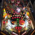 Playfield