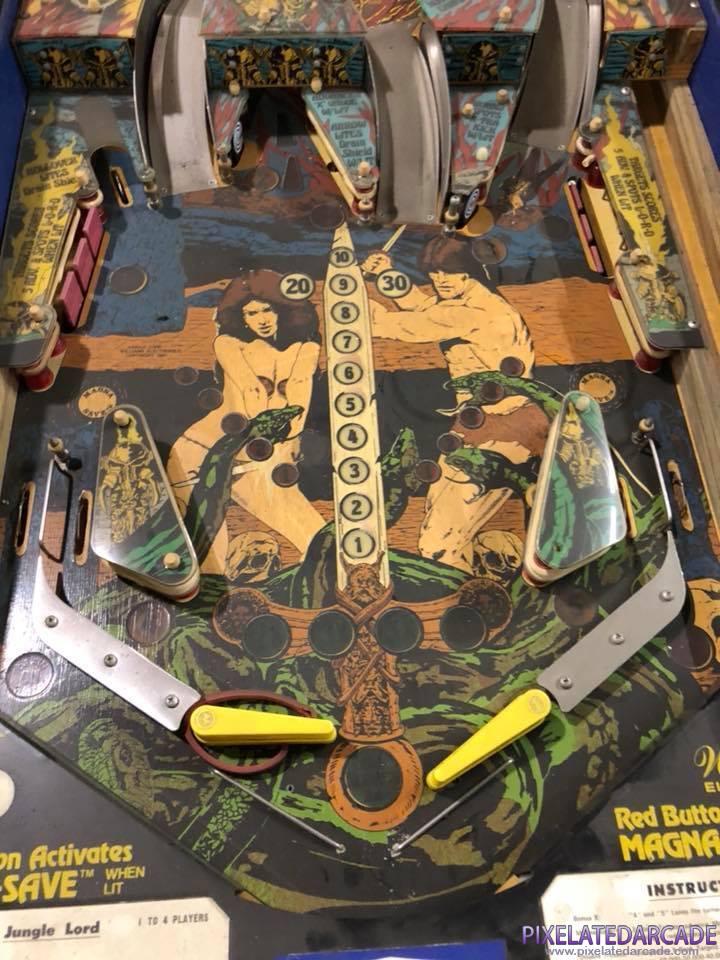 Jungle Lord Photo: Lower playfield