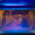 Dark Planet arcade cabinet - Display and backdrop