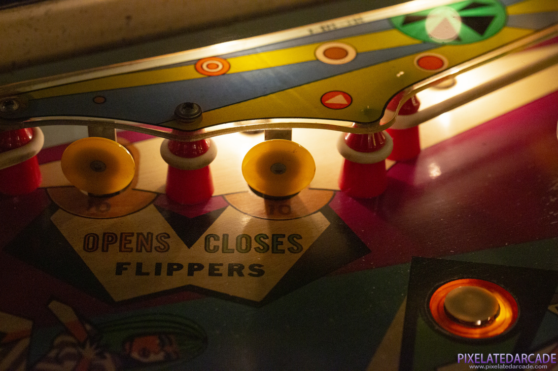 Doozie Photo: Doozie - Playfield detail