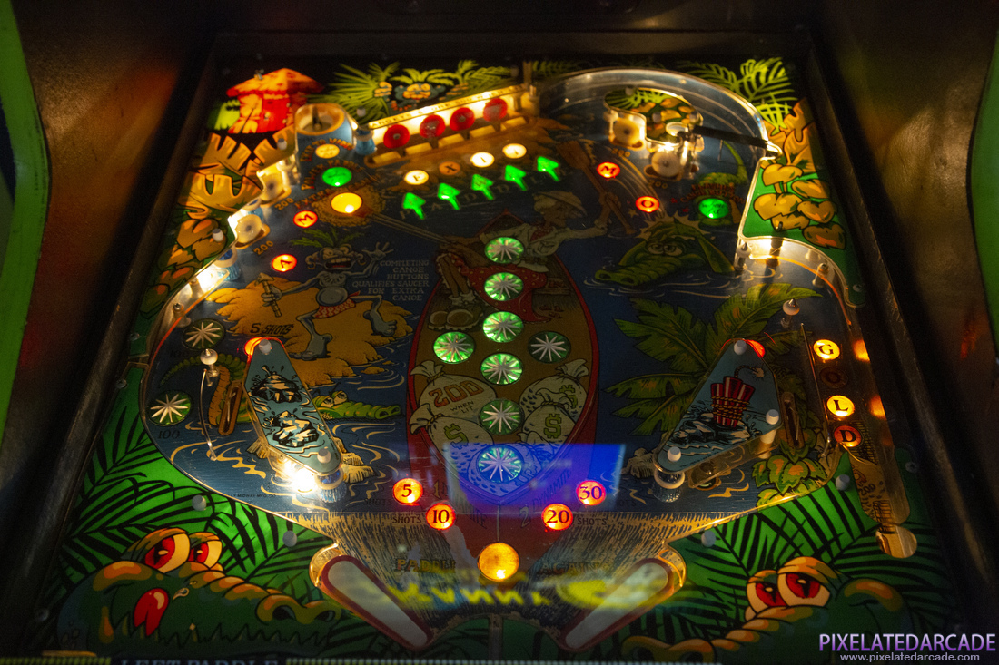 Granny and the Gators Photo: Granny and the Gators - Playfield