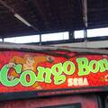 Congo Bongo arcade marquee