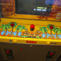 Congo Bongo arcade cabinet - Controls