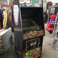Ninja Gaiden in Lazarian cabinet