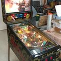 Raven pinball cabinet