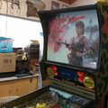 Raven pinball cabinet - Backbox