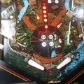 Raven pinball cabinet with alternate backglass - Lower playfield