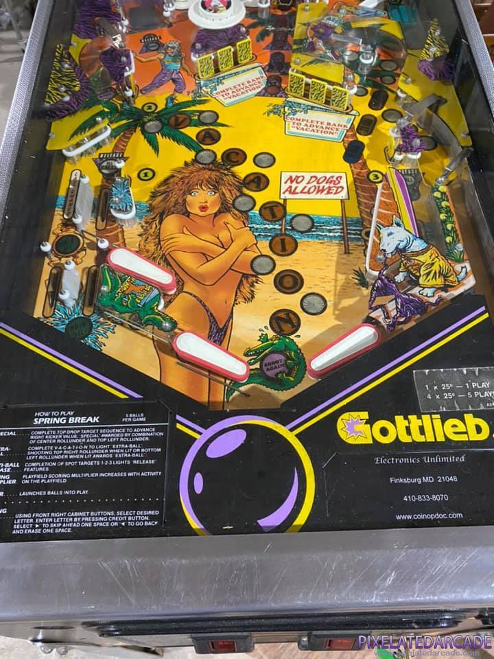 Spring Break Photo: Spring Break pinball cabinet - Playfield