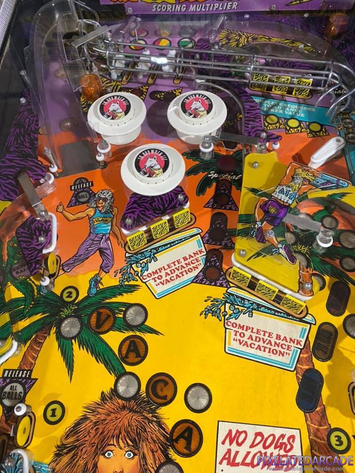 Spring Break Photo: Spring Break pinball cabinet - Playfield
