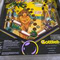 Spring Break pinball cabinet - Playfield