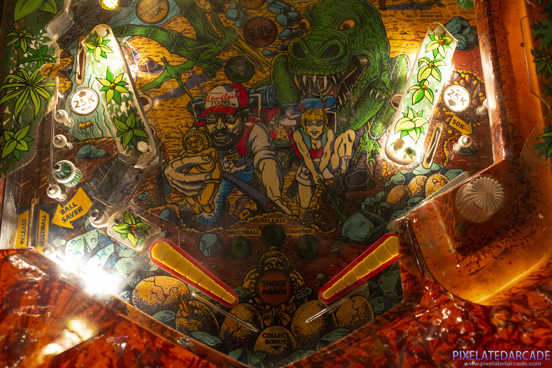 Escape From the Lost World Photo: Lower playfield
