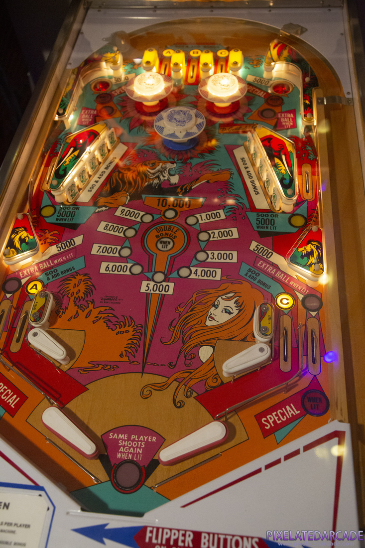 Jungle Queen Photo: Jungle Queen pinball cabinet - Playfield illuminated