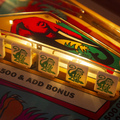 Jungle Queen pinball cabinet - Drop Targets