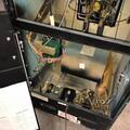 Moon Patrol arcade cabinet - inside