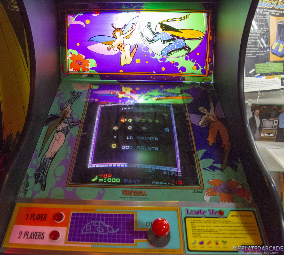Lady Bug Photo: Lady Bug arcade cabinet - Monitor and bezel