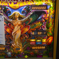 Farfalla pinball cabinet - Backbox detail