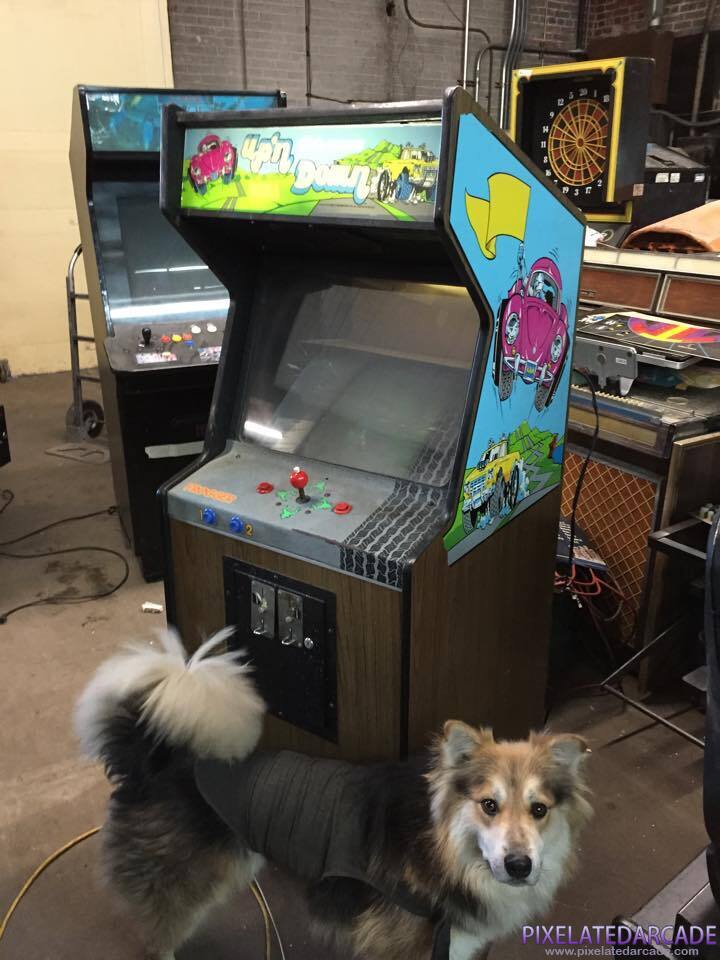 Up 'n Down Photo: Up 'n Down in Frogger cabinet