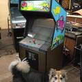 Up 'n Down in Frogger cabinet