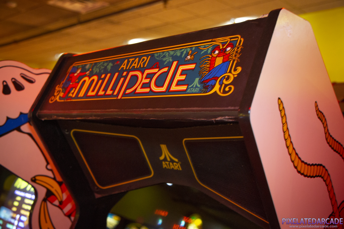Millipede Photo: Millipede marquee