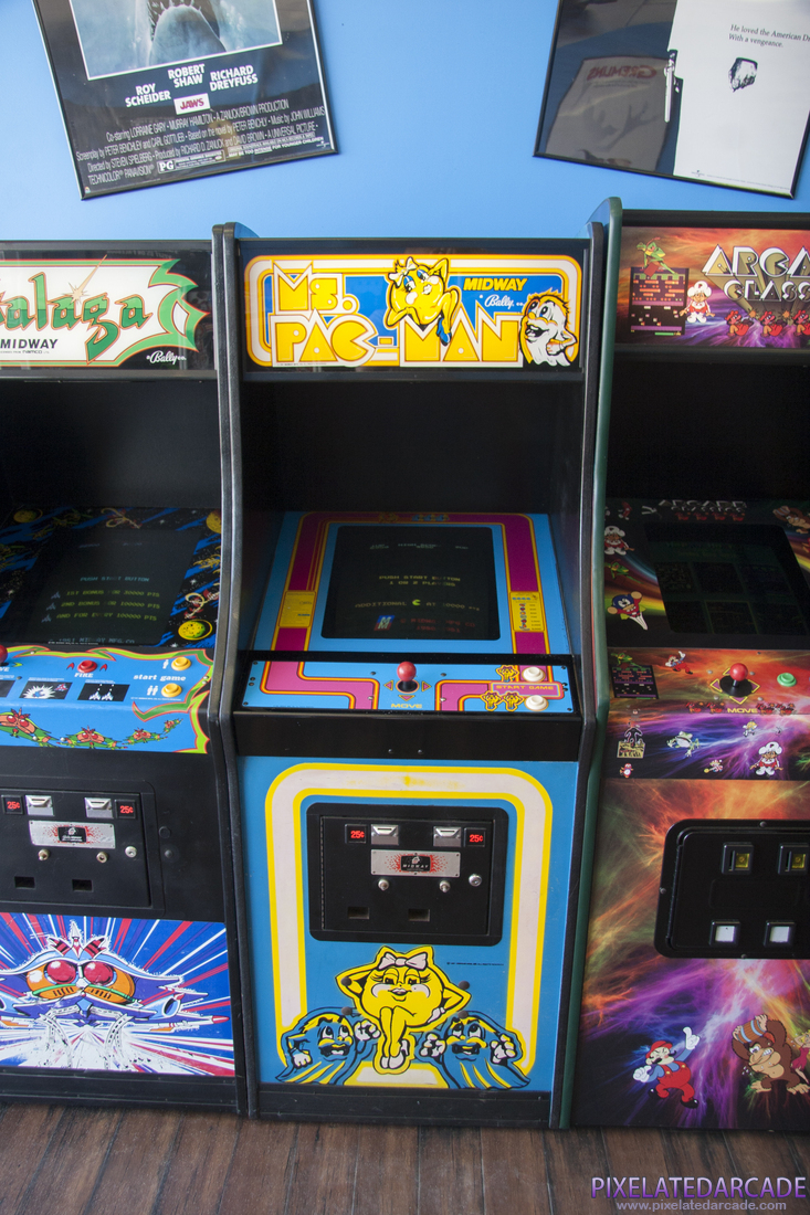 Ms. Pac-Man Photo: 