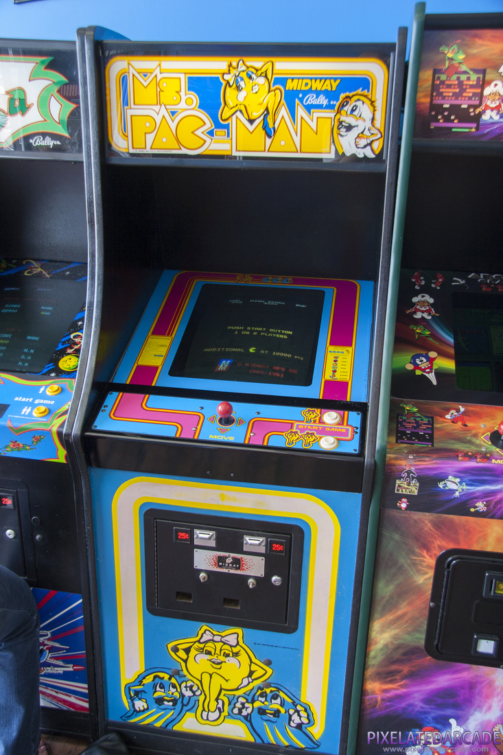 Ms. Pac-Man Photo: 