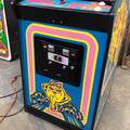 Ms. Pac-Man arcade cabinet - front artwork and coin box