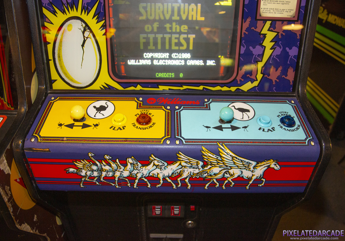 Joust 2: Survival of the Fittest Photo: Joust 2: Survival of the Fittest arcade cabinet - Control panel