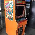 Donkey Kong 3 arcade cabinet