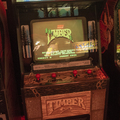 Timber arcade cabinet - Monitor and controls
