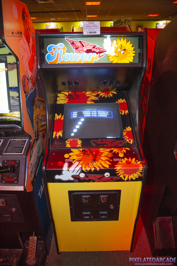 Flower Photo: Flower arcade cabinet - Front