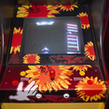 Flower arcade cabinet - Controls and monitor