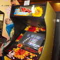 Flower arcade cabinet