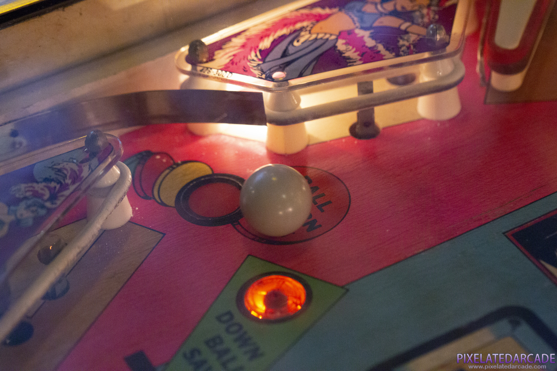 Riviera Photo: Playfield detail and pinball