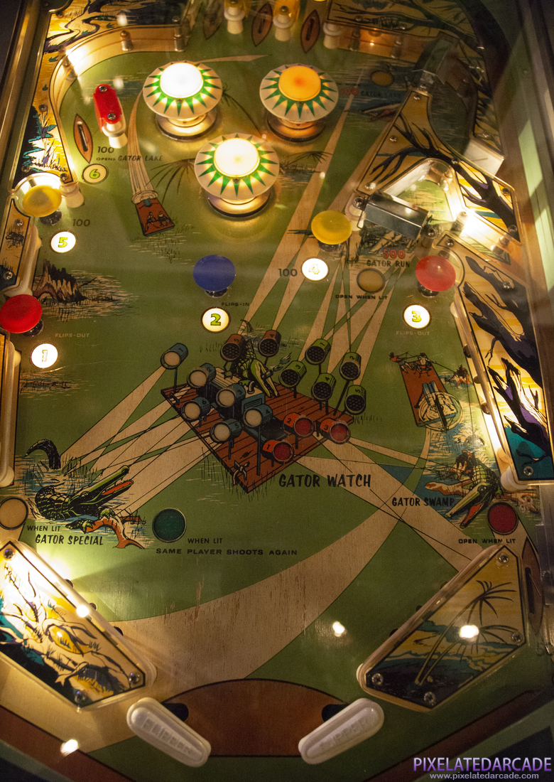 Gator Photo: Playfield