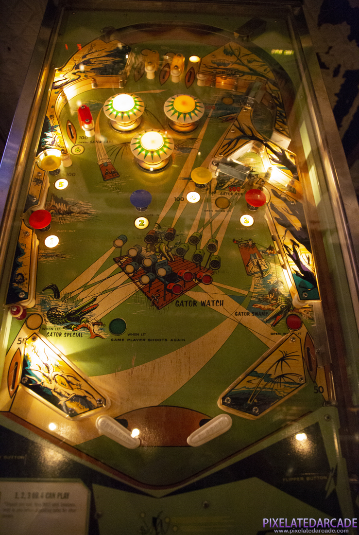 Gator Photo: Playfield