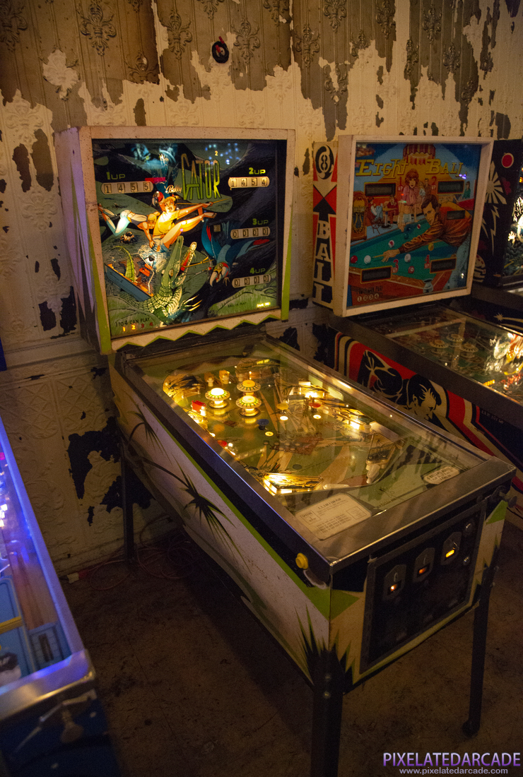 Gator Photo: Gator pinball cabinet