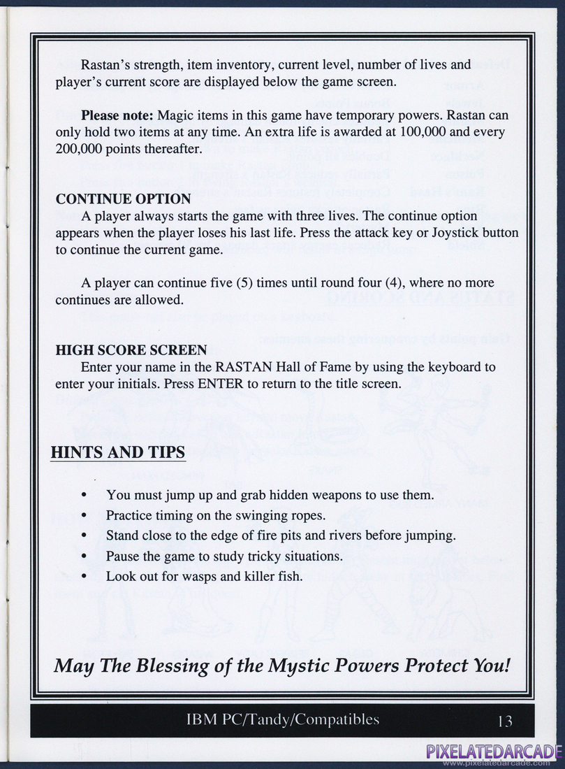 Rastan: Instruction Manual - Page 13