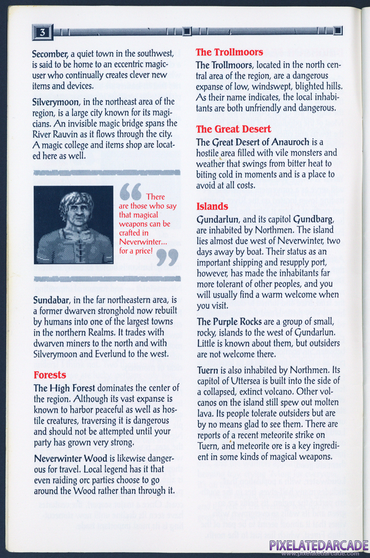 Gateway to the Savage Frontier: Adventurer's Journal - Page 3