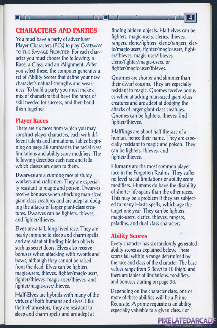 Gateway to the Savage Frontier: Adventurer's Journal - Page 4